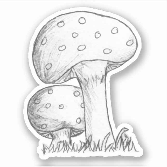 Mushrooms Sketch (Front)