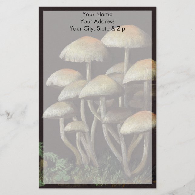 Mushrooms Stationery (Front)