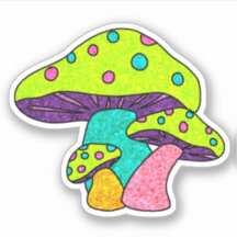 Mushrooom everyday