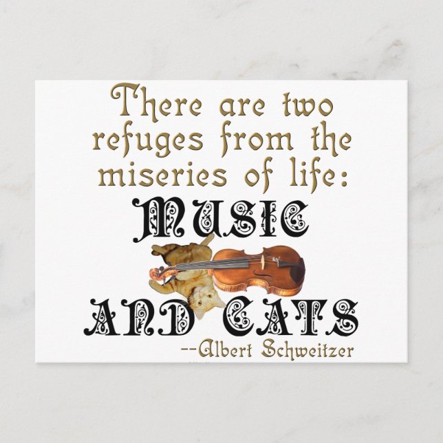 Music and Cats Postcard (Front)