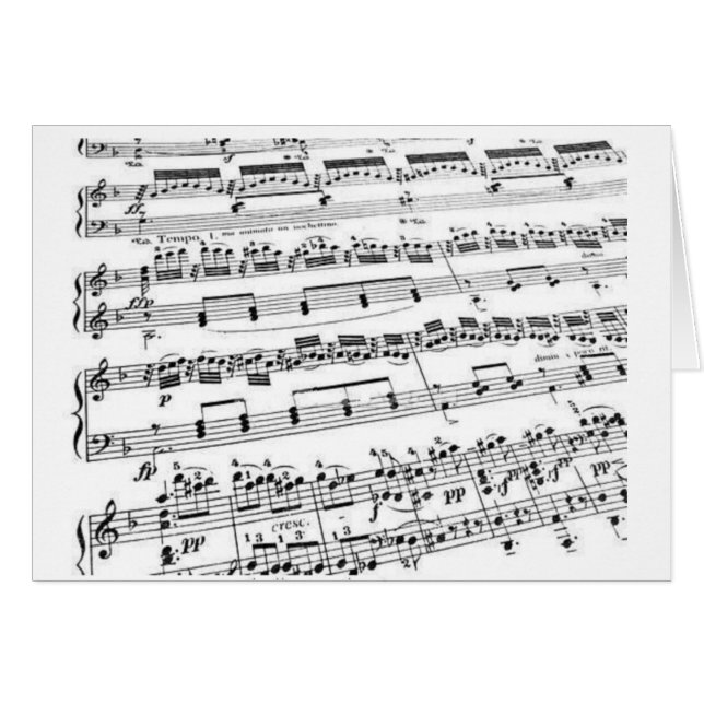 Music Major/Student/Teacher (Front Horizontal)