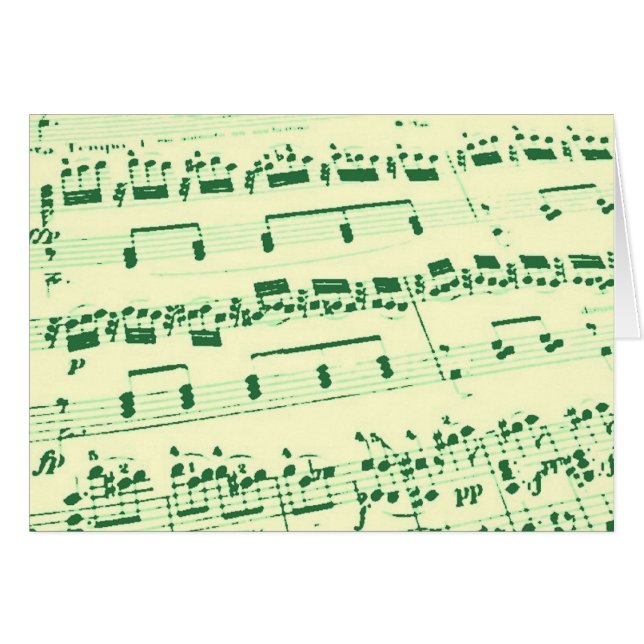 Music Major/Student/Teacher (Front Horizontal)