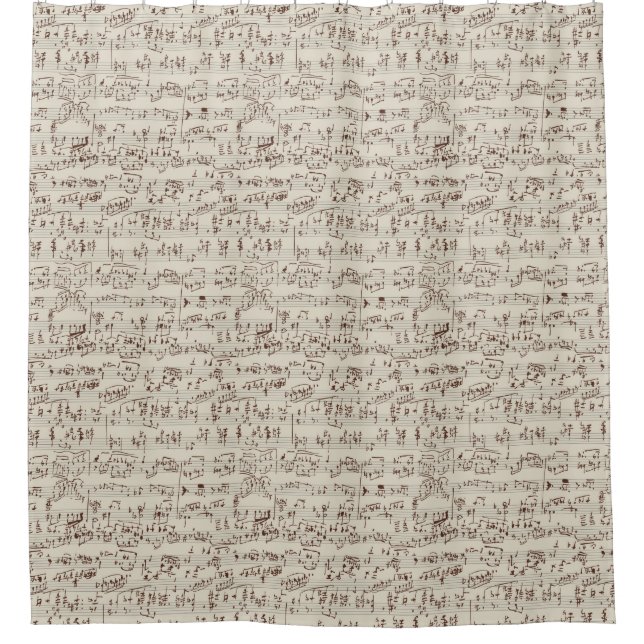 Music notes shower curtain (Front)