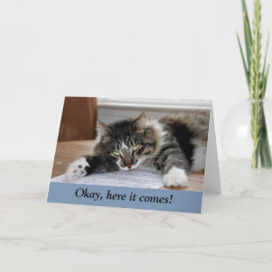 Musical Cat Big Hug Card