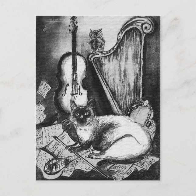 MUSICAL CAT,OWL,VIOLIN,HARP Black White Grey Music Postcard (Front)