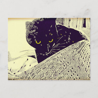 Musical Cat - Postcard