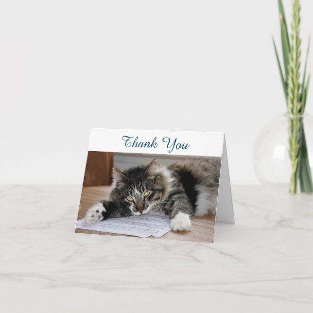 Musical Cat Thank You Note Card (Front)