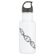 Musical DNA