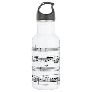 musical notes 532 ml water bottle