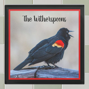 Musical Redwing Blackbird in a Marsh Glass Coaster