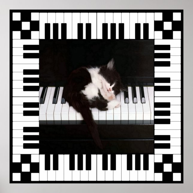 Musical Sleep Poster (Front)