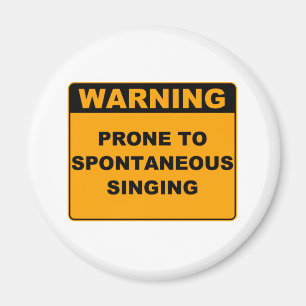 Musical Theatre Magnet