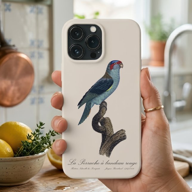 Musk Lorikeet, Trichoglossus Concinnus Case-Mate iPhone Case (Musk Lorikeet, Trichoglossus Concinnus. iPhone Case)