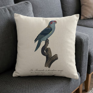Musk Lorikeet, Trichoglossus Concinnus Cushion