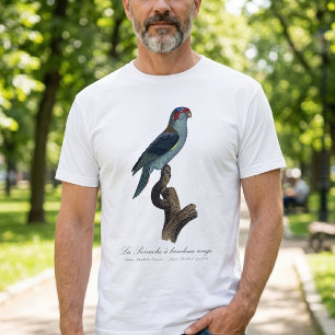 Musk Lorikeet, Trichoglossus Concinnus T-Shirt