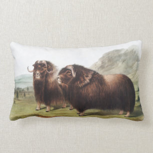 Musk Ox (Ovibos moschatus) Illustration Lumbar Cushion