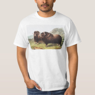 Musk Ox (Ovibos moschatus) Illustration T-Shirt