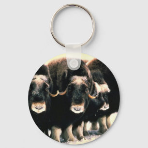 Musk Oxen Key Ring