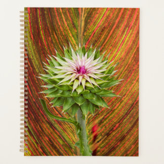 Musk Thistle (Carduus nutans) Planner