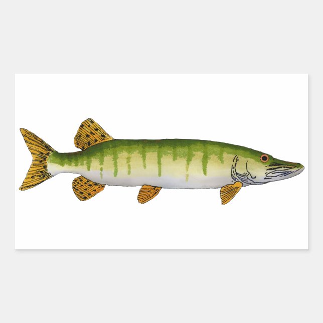 Muskellunge (Muskie) Rectangular Sticker (Front)