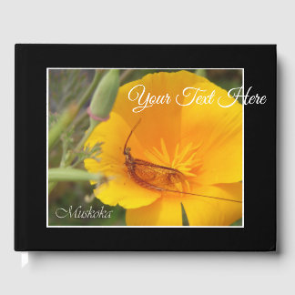 Muskoka Shadfly (Yellow Flower) Guest Book