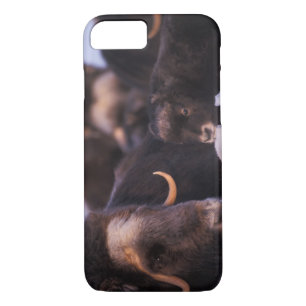 muskox, Ovibos moschatus, cow with newborn, iPhone 8/7 Case