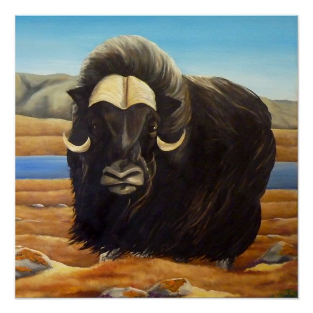 Muskox Painting Canadian Wildlife Poster Print (Front)