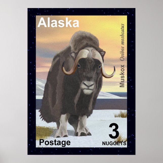 Muskox Poster (Front)