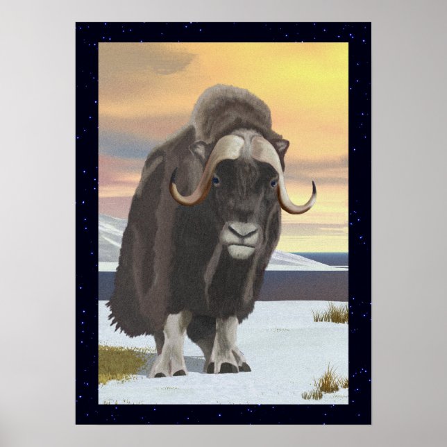Muskox Poster (Front)