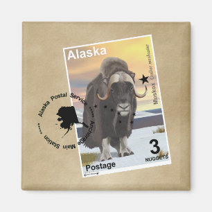 Muskox Stamp Souvenir Magnet