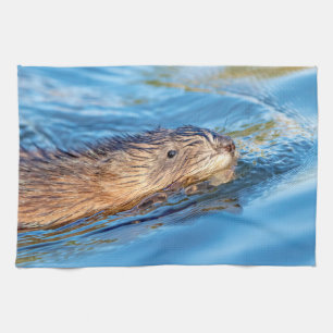 Muskrat at Vassar Farms Ecological Preserve Tea Towel