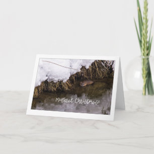 Muskrat Christmas Quirky Holiday Card
