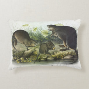 Muskrat from Audubon's Quadrupeds of North America Decorative Cushion