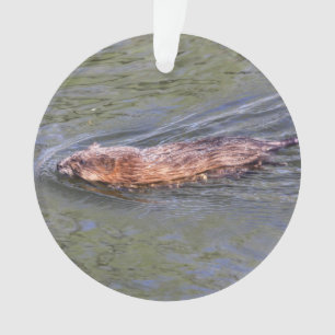Muskrat Ornament