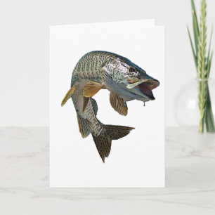 Musky 4 card