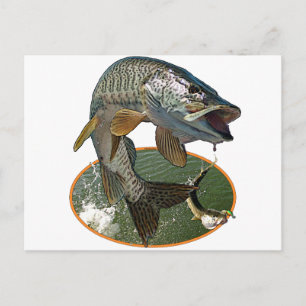 Musky 6 postcard