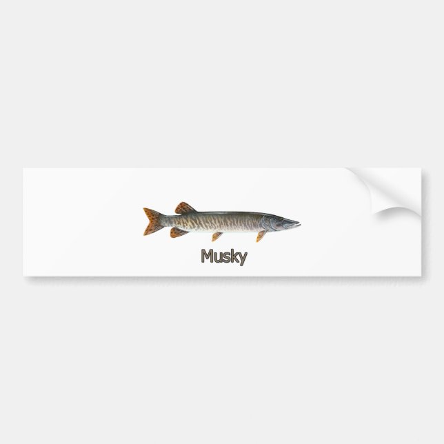 Musky Logo (titled) Bumper Sticker (Front)