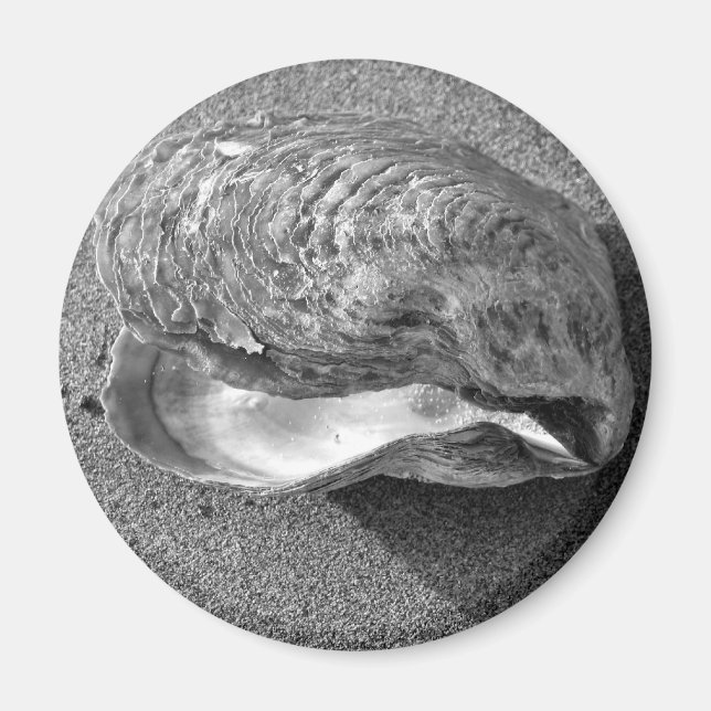 Mussel Seashell Sand Beach Magnet (Front)