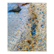 Mussel Shells in Maine