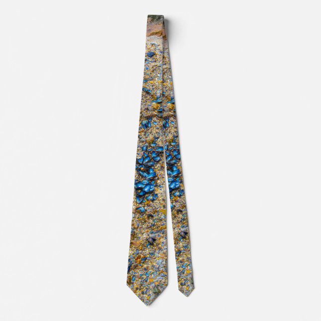 Mussel Shells in Maine Tie (Front)