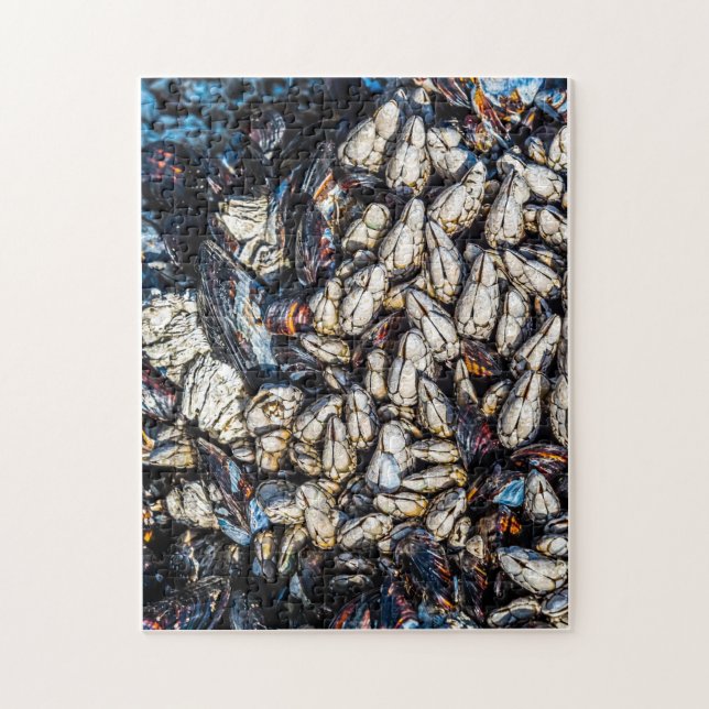 Mussels and gooseneck barnacles - Tofino, BC. Jigsaw Puzzle (Vertical)