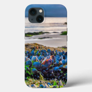 Mussels iPhone 13 Case