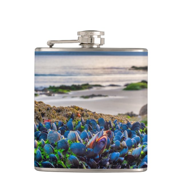 Mussels Hip Flask (Front)
