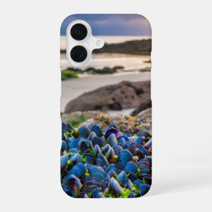 Mussels iPhone 16 Case