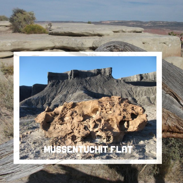 Mussentuchit Flat Rocks, Emery County, Utah Postcard (Creator Uploaded)