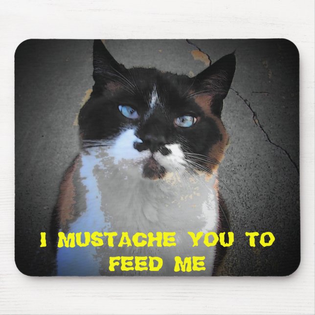 MUSTACHE CAT IS HUNGRY "Feed Me" Meme Mouse Pad (Front)