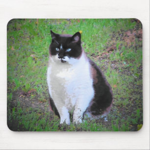 MUSTACHE CAT IS WATCHING MOUSE PAD