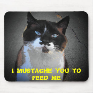 MUSTACHE YOU CAT IS HUNGRY MOUSE PAD
