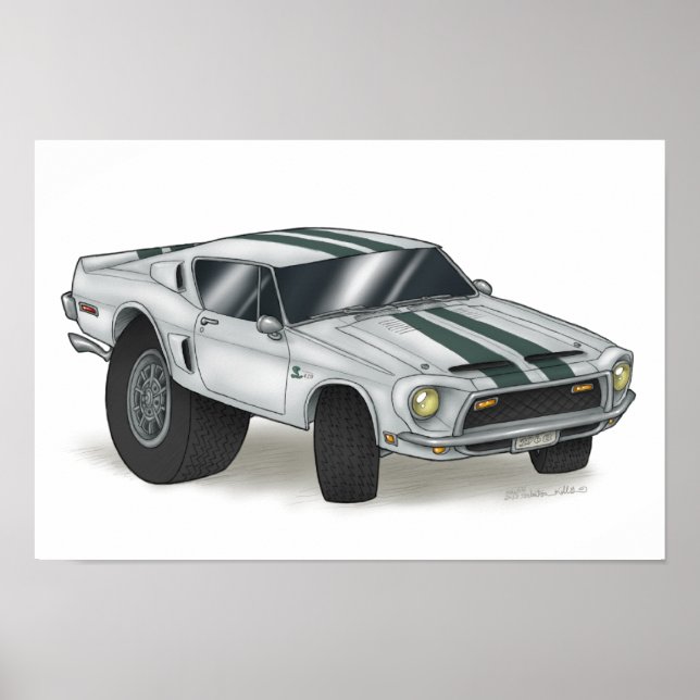 Mustang Cobra Poster (Front)