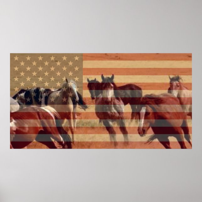 Mustang Flag Poster (Front)